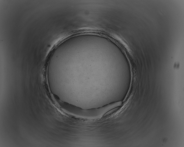 X0000095521357200801041214