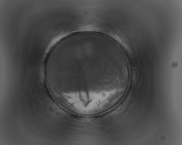 X0000095521358200801041214