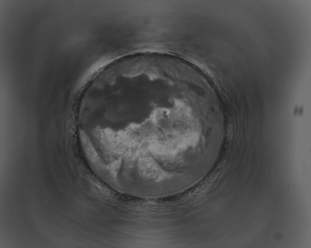 X0000095521359200801041214