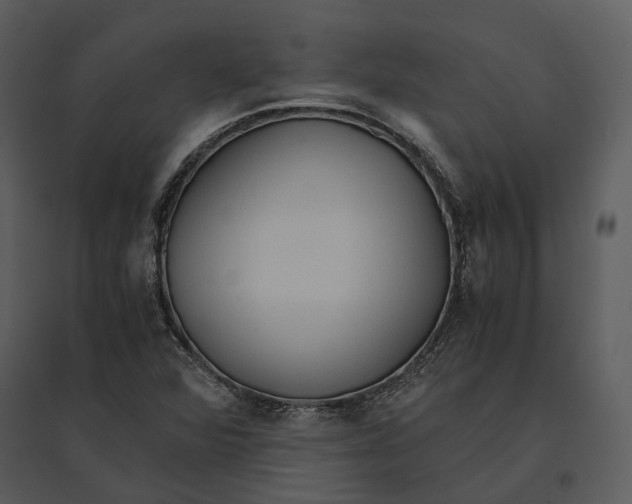 X0000095521360200801041214