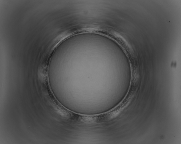 X0000095521361200801041214