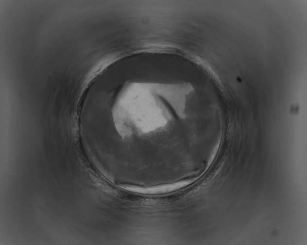 X0000095521362200801041214