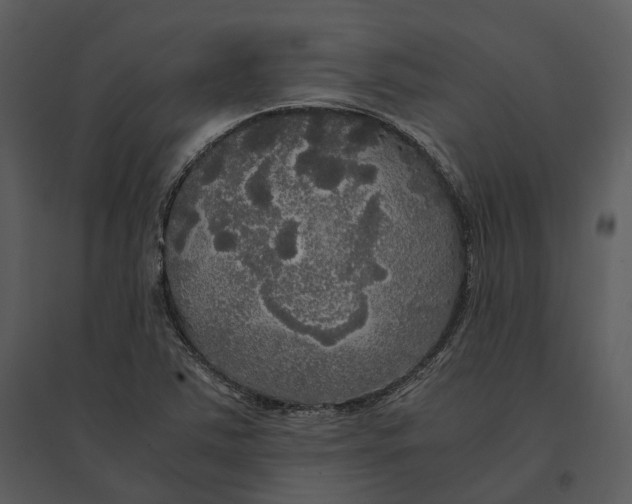 X0000095521363200801041214