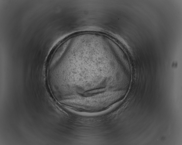 X0000095521364200801041214