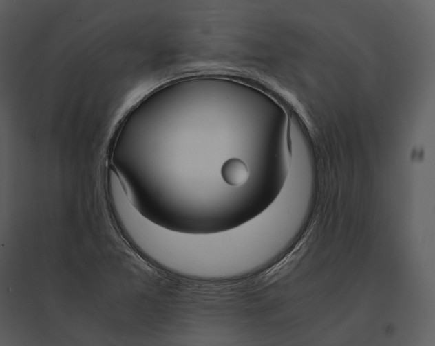 X0000095521365200801041214