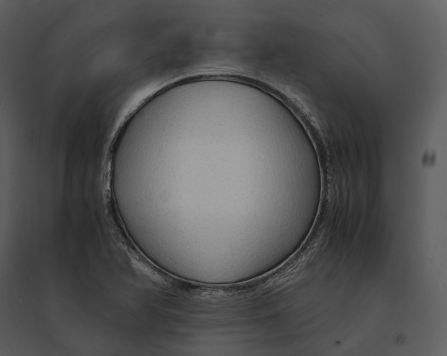 X0000095521366200801041214