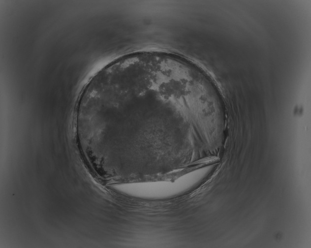 X0000095521367200801041213