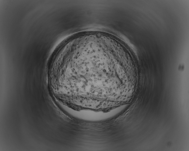 X0000095521368200801041213