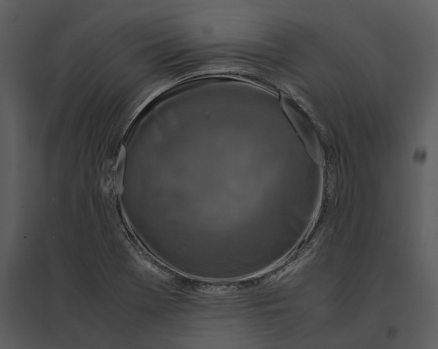 X0000095521369200801041213