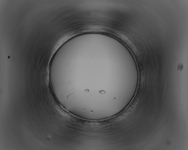 X0000095521370200801041213