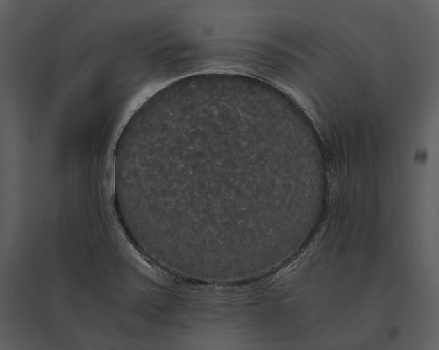 X0000095521371200801041213