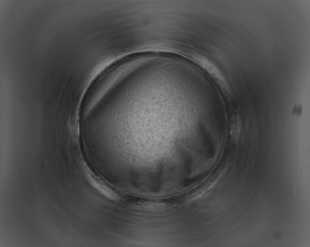 X0000095521372200801041213