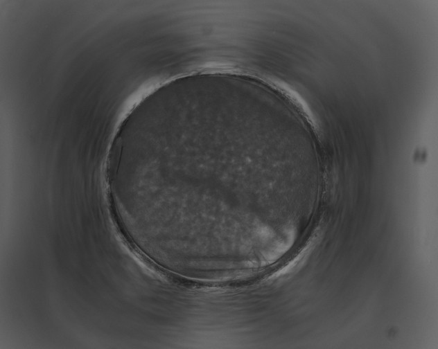 X0000095521373200801041213