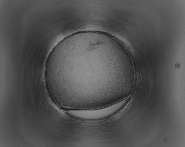 X0000095521374200801041213