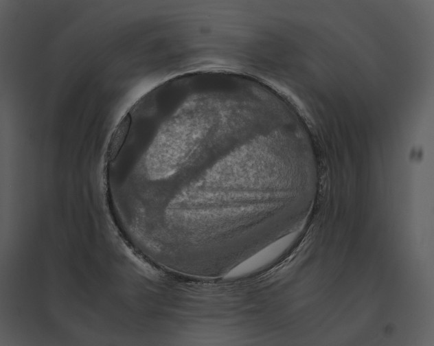 X0000095521375200801041213