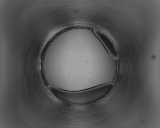 X0000095521376200801041213