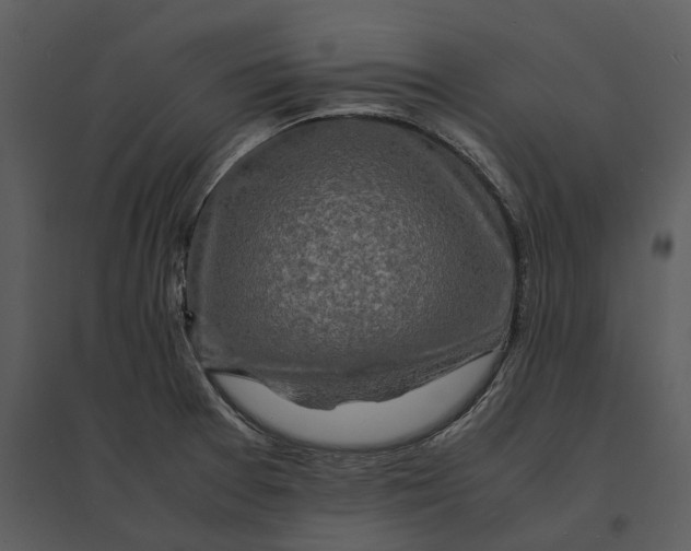 X0000095521377200801041213