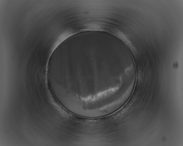 X0000095521378200801041213