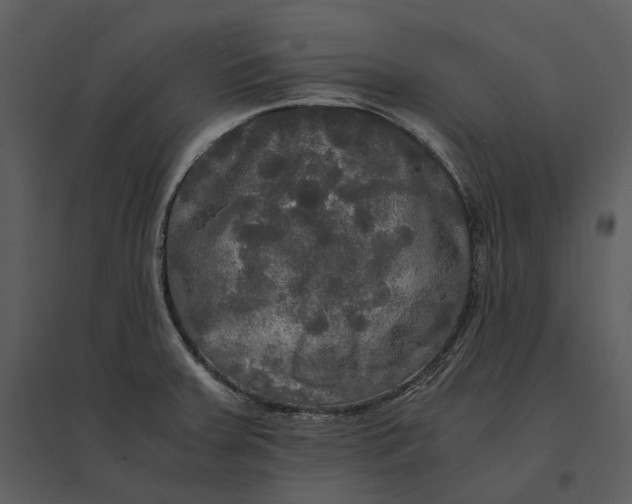 X0000095521379200801041213