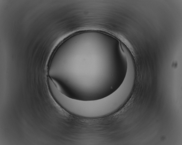 X0000095521380200801041213