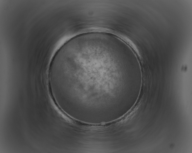 X0000095521381200801041213