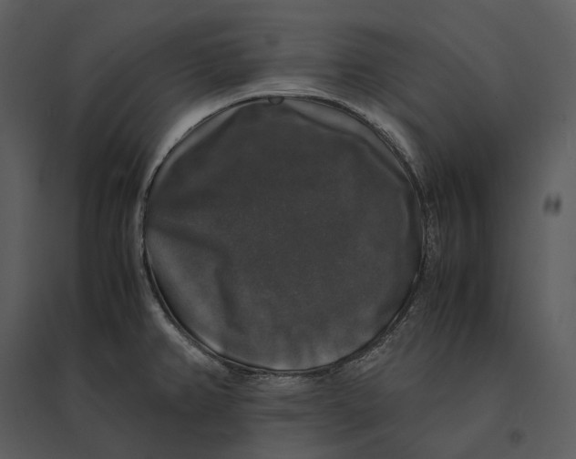 X0000095521382200801041213