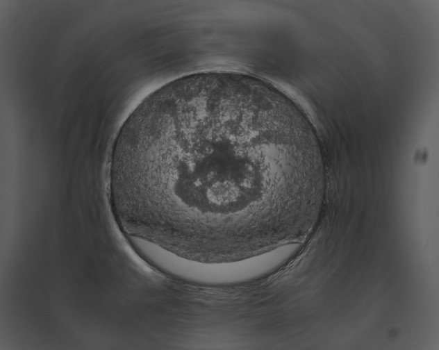 X0000095521383200801041213