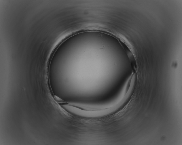 X0000095521384200801041213