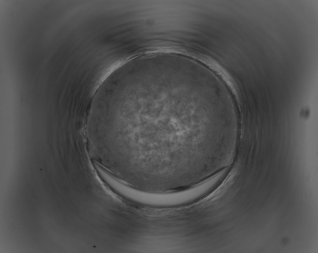 X0000095521385200801041213