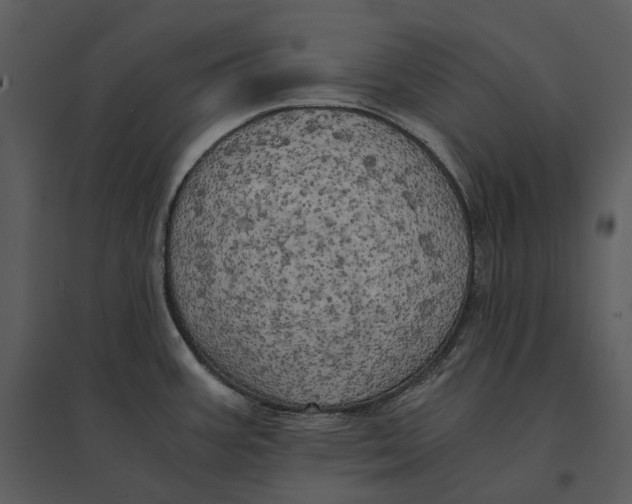 X0000095521387200801041213