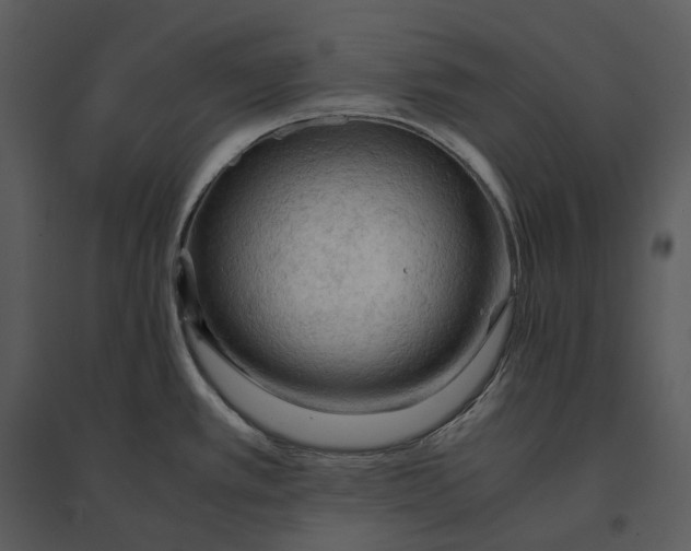 X0000095521389200801041213