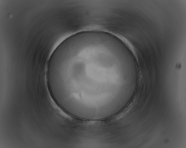 X0000095521390200801041213