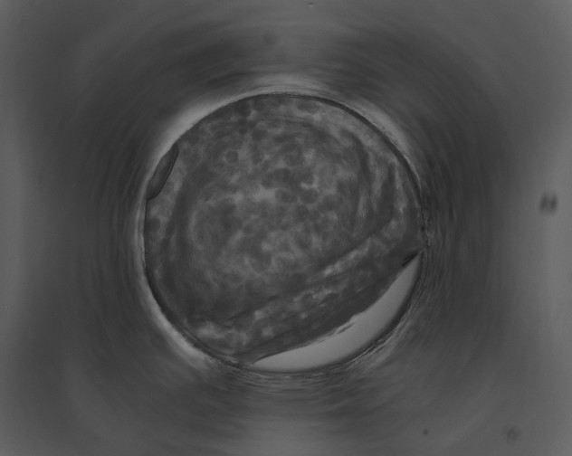 X0000095521391200801041213