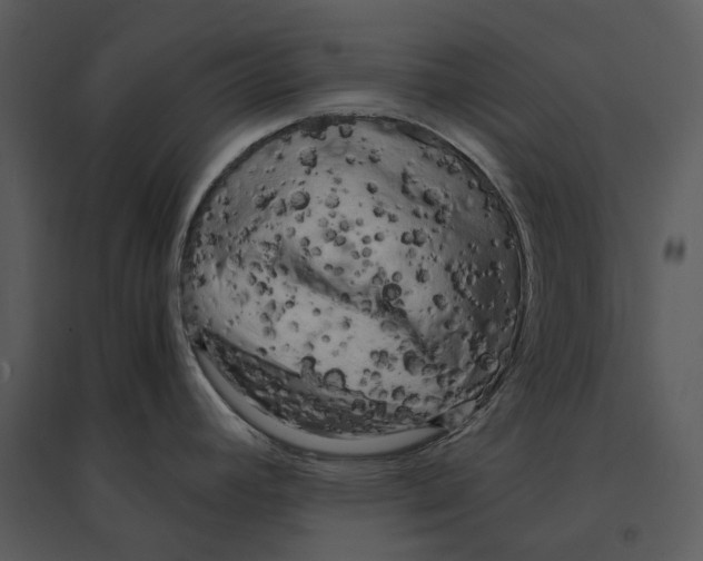 X0000095521392200801041213