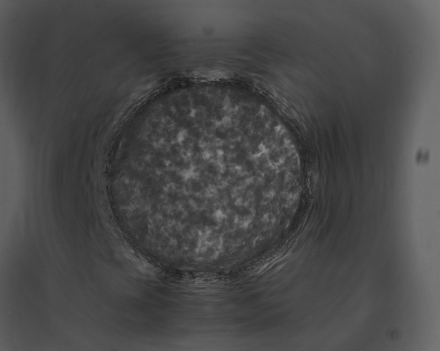 X0000095521393200801041212