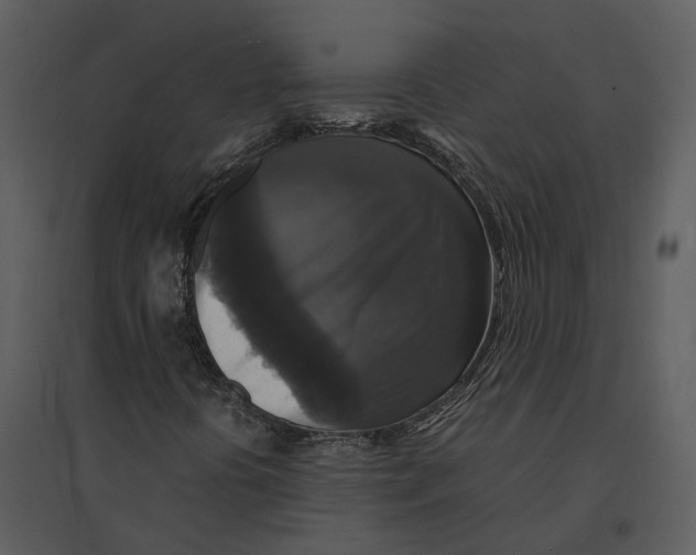 X0000095521394200801041212