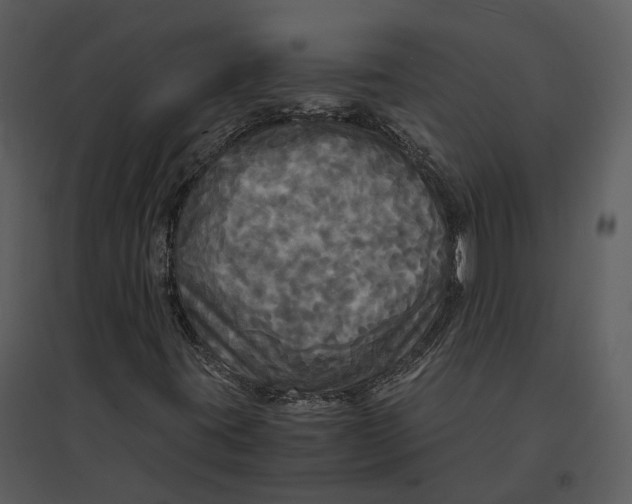 X0000095521395200801041212