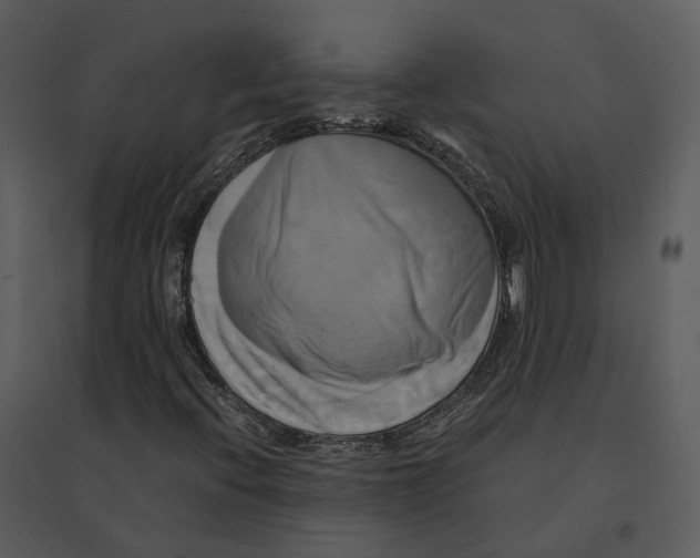 X0000095521396200801041212