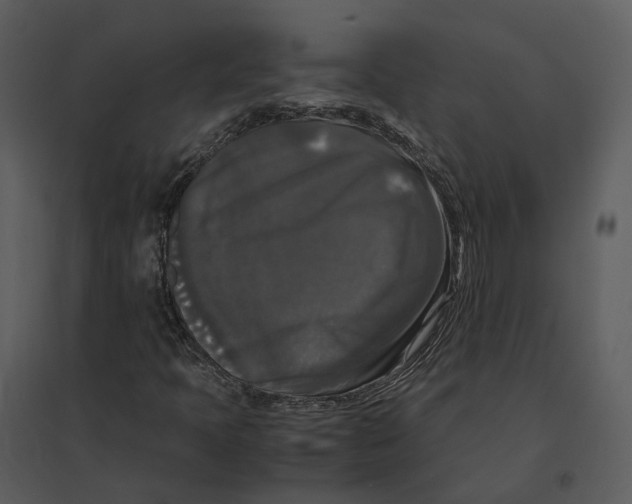 X0000095521397200801041212