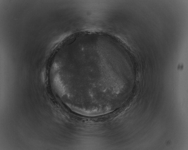 X0000095521398200801041212