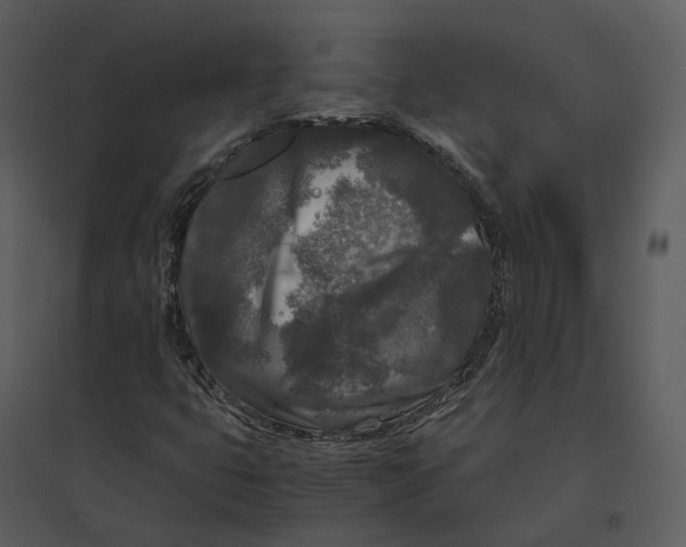 X0000095521399200801041212