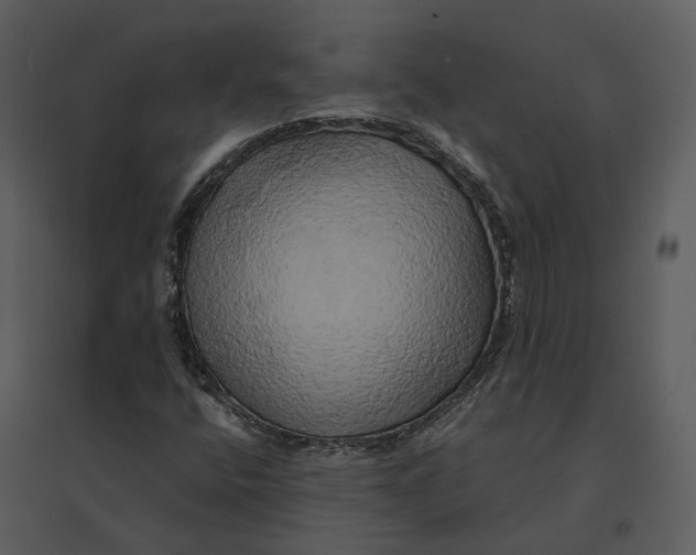 X0000095521400200801041212