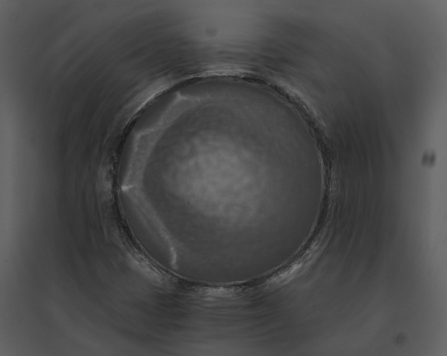 X0000095521401200801041212