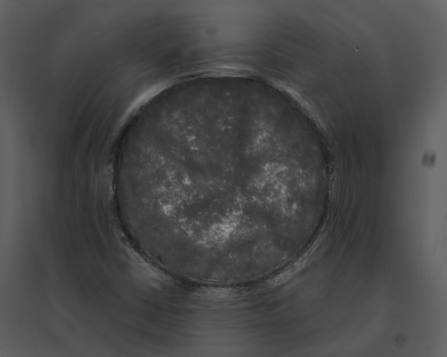 X0000095521402200801041212