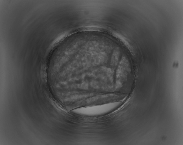 X0000095521403200801041212