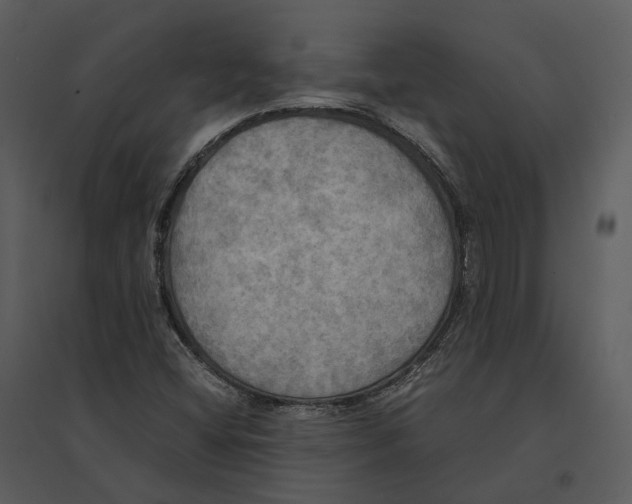 X0000095521404200801041212