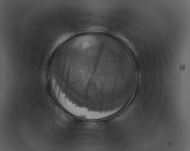 X0000095521405200801041212