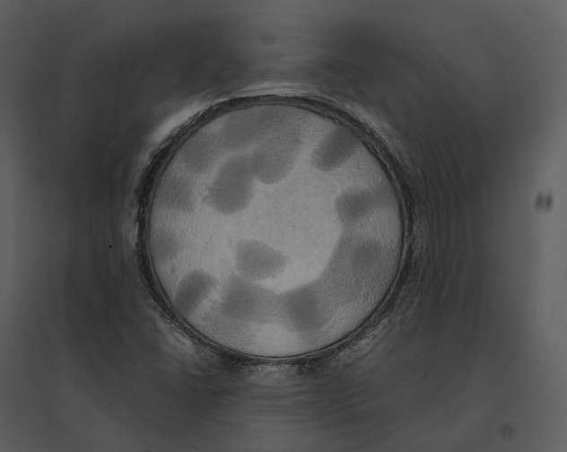 X0000095521406200801041212