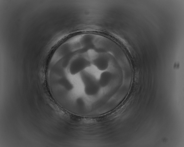 X0000095521407200801041213