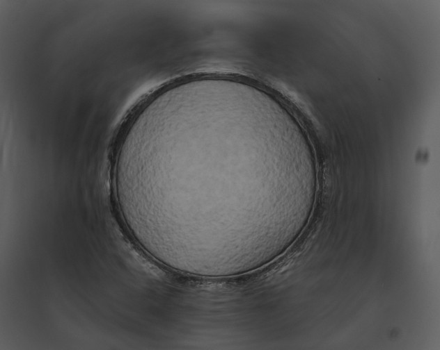 X0000095521408200801041213